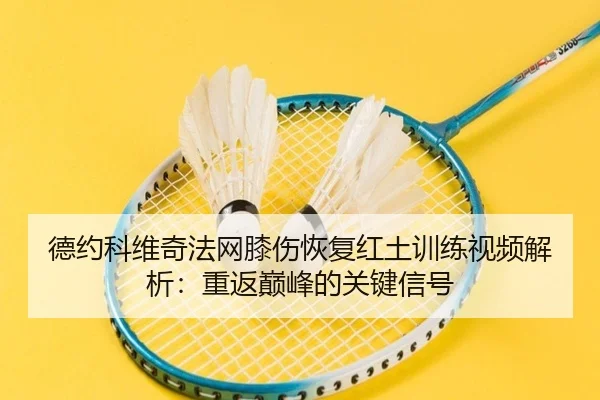 德约科维奇法网膝伤恢复红土训练视频解析：重返巅峰的关键信号