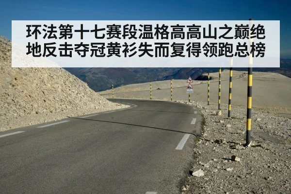 环法第十七赛段温格高高山之巅绝地反击夺冠黄衫失而复得领跑总榜